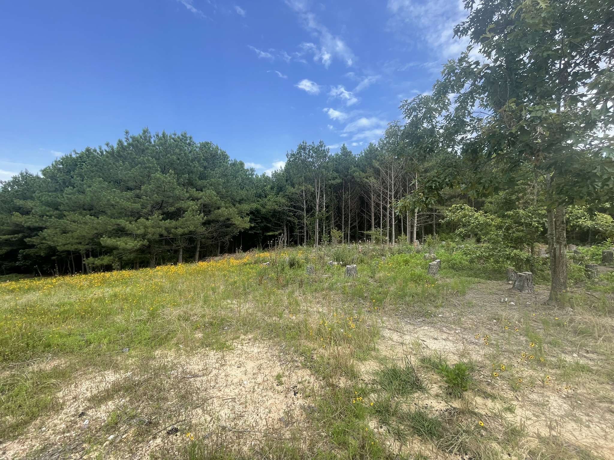 Cove, Arkansas, 71937, United States, 2 Bedrooms Bedrooms, ,Residential,For Sale,1938285