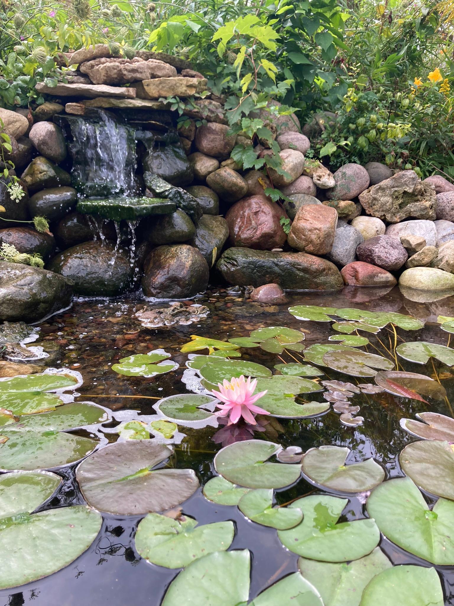 Winona, Minnesota, 55987, United States, 5 Bedrooms Bedrooms, ,2 BathroomsBathrooms,Residential,For Sale,2005788