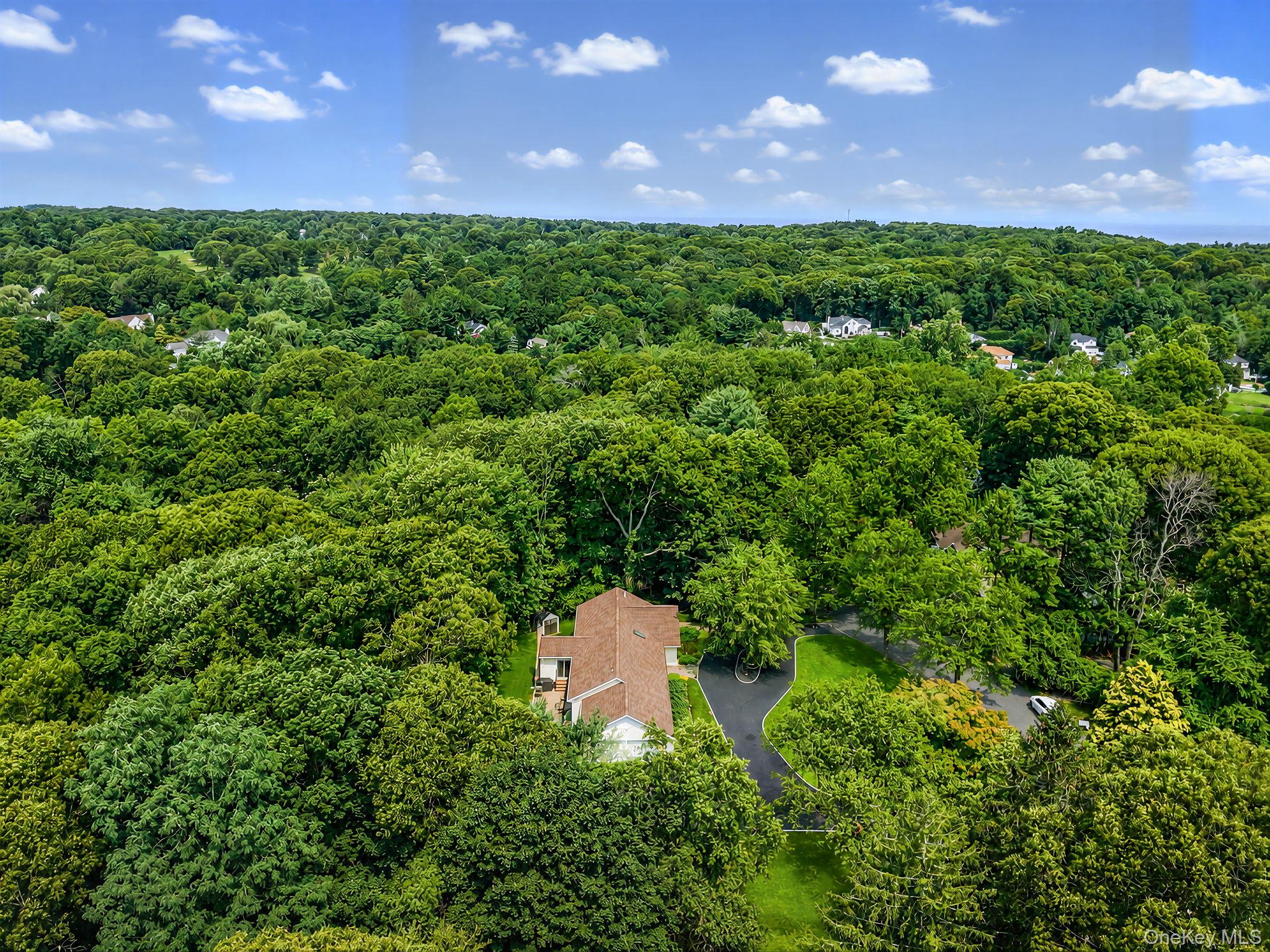  10 Williamsburg Drive, Northport, NY, 11768 - 物件實景