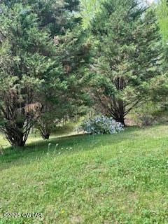 Cedar Grove, Tennessee, 38321, United States, 3 Bedrooms Bedrooms, ,3 BathroomsBathrooms,Residential,For Sale,1795331