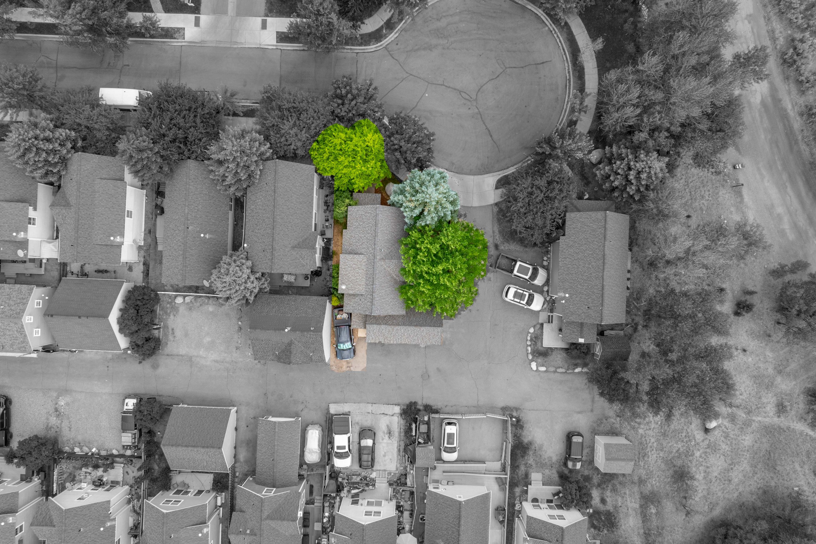  Beautifully Updated & Move-In Ready Cardiff Glen Home - 物件實景
