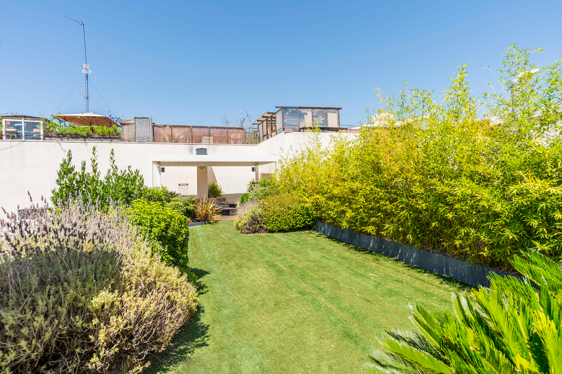  Penthouse in central Madrid with 420 m² of terrace - 物件實景