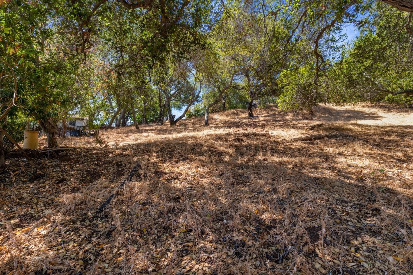 Redwood City, California, 94062, United States, ,Land,For Sale,1907554