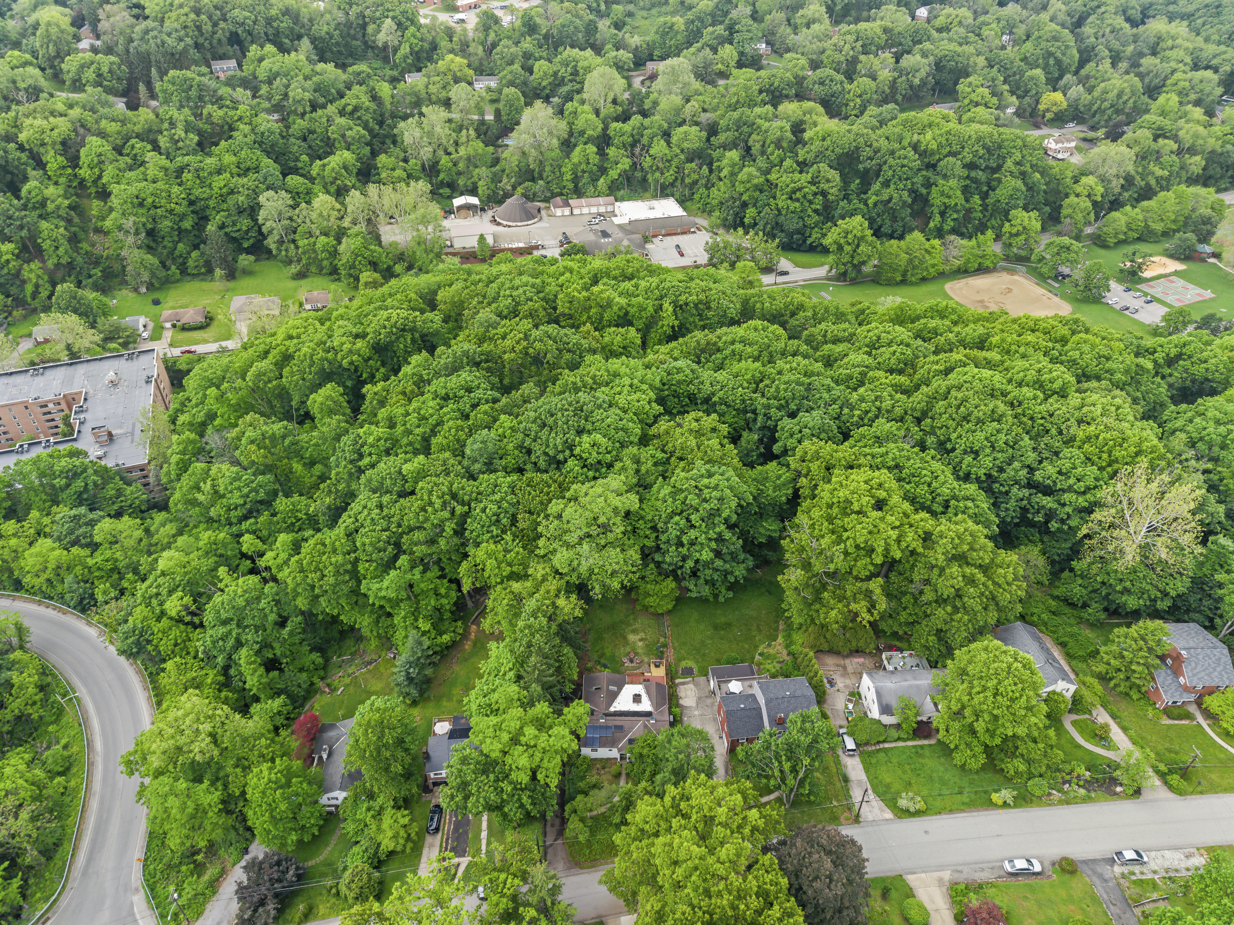  203 Rockingham Road, Pittsburgh, PA 15238 - 物件實景