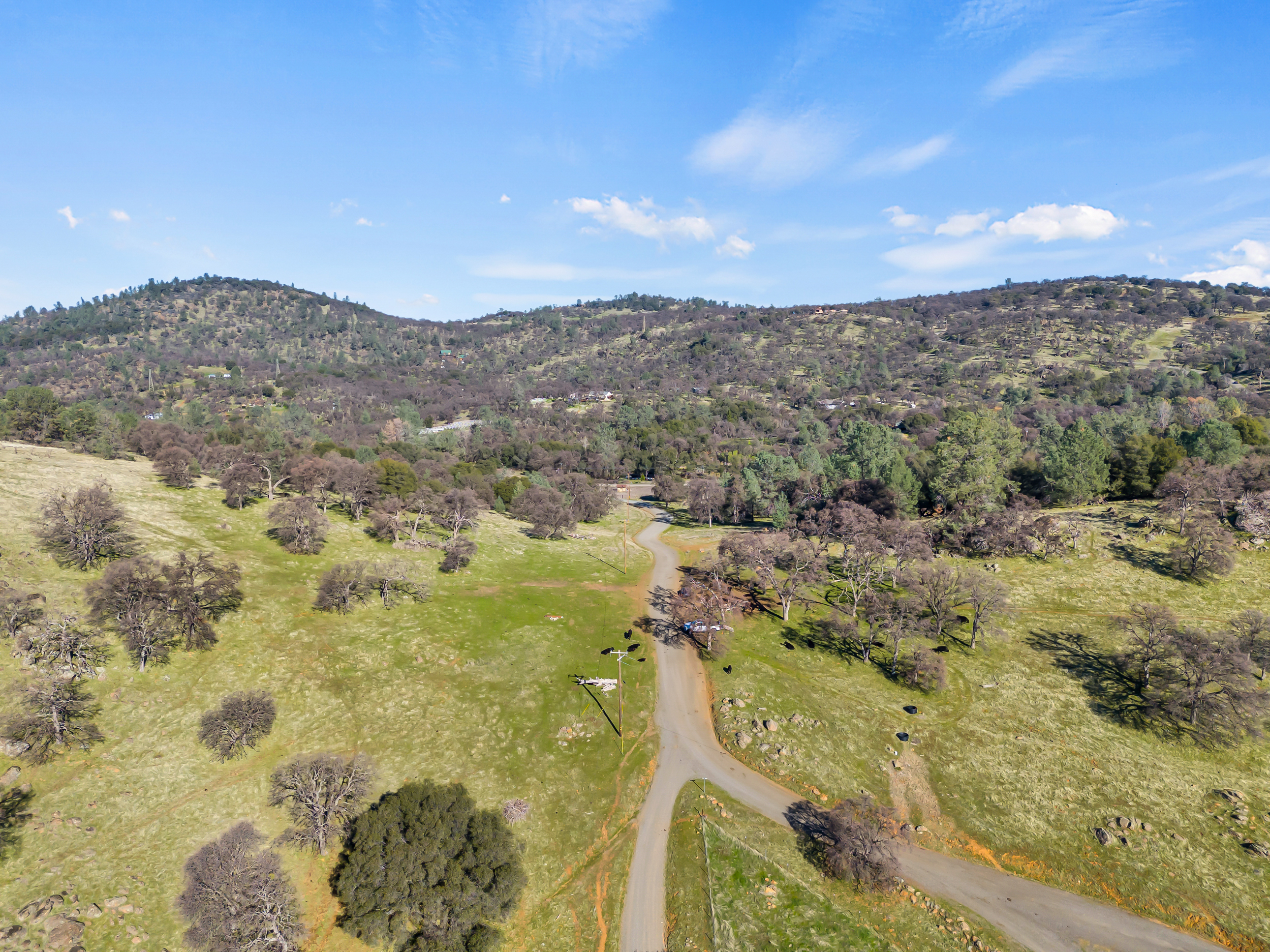  23443 Corino Way, Grass Valley, CA 95949 - 物件實景