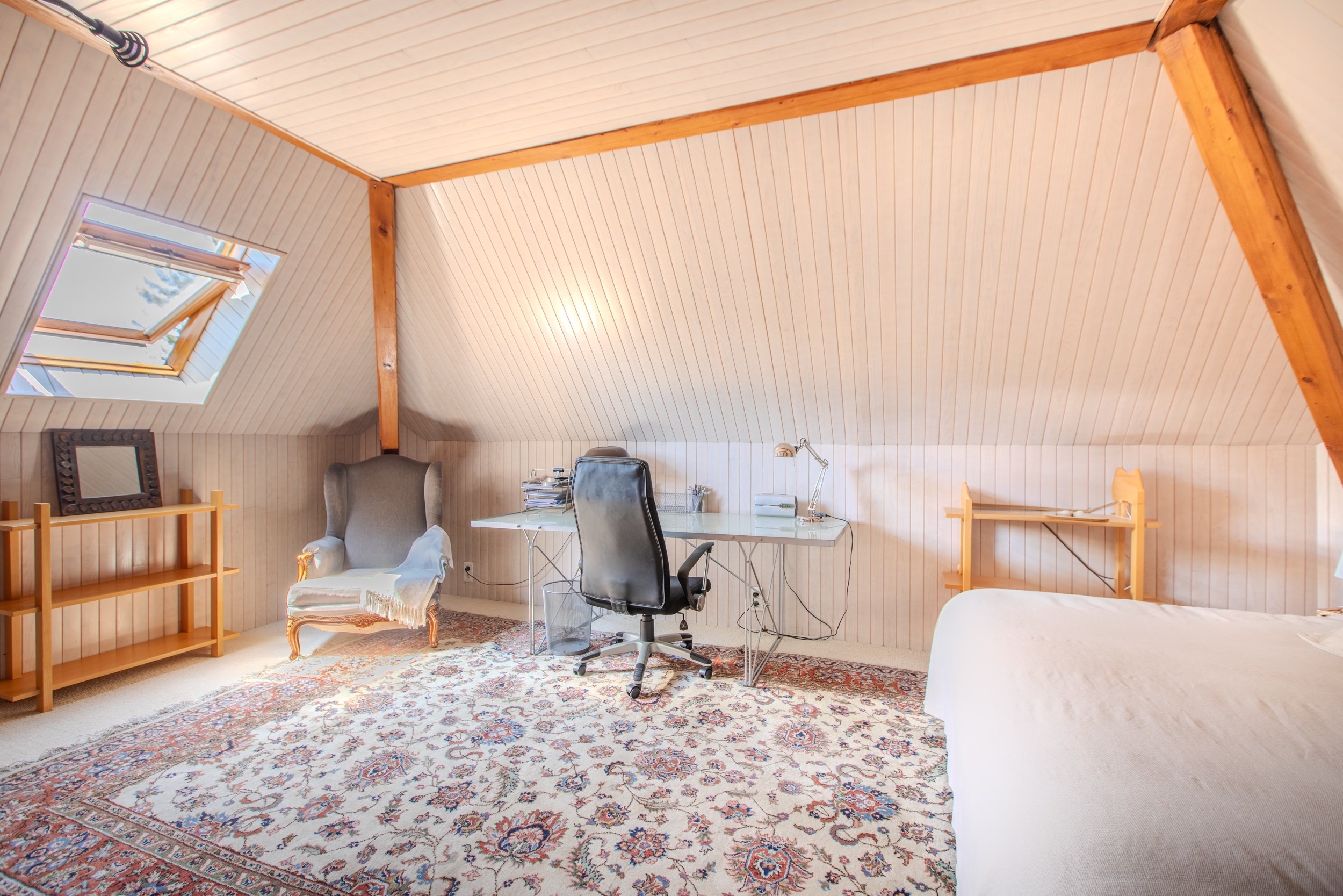  Master house in Saint Julien en Genevois - 物件實景