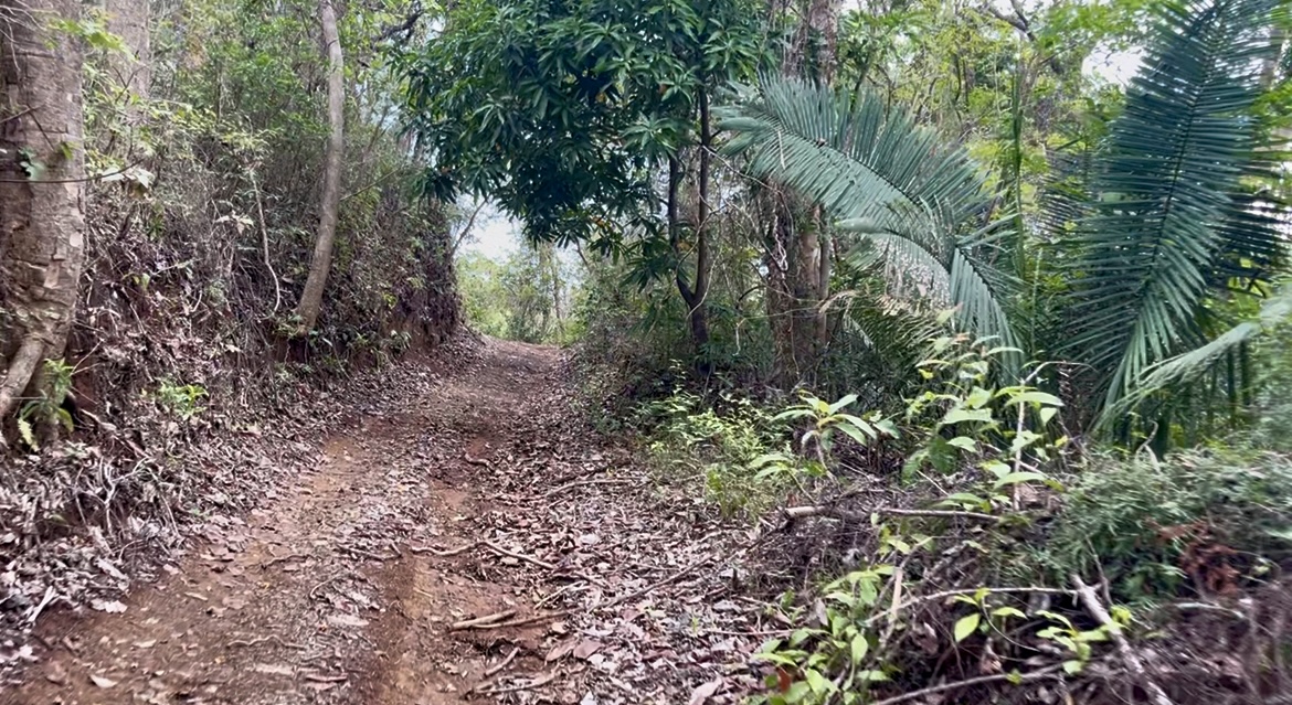 Samara, Guanacaste, CR, ,Land,For Sale,1838458