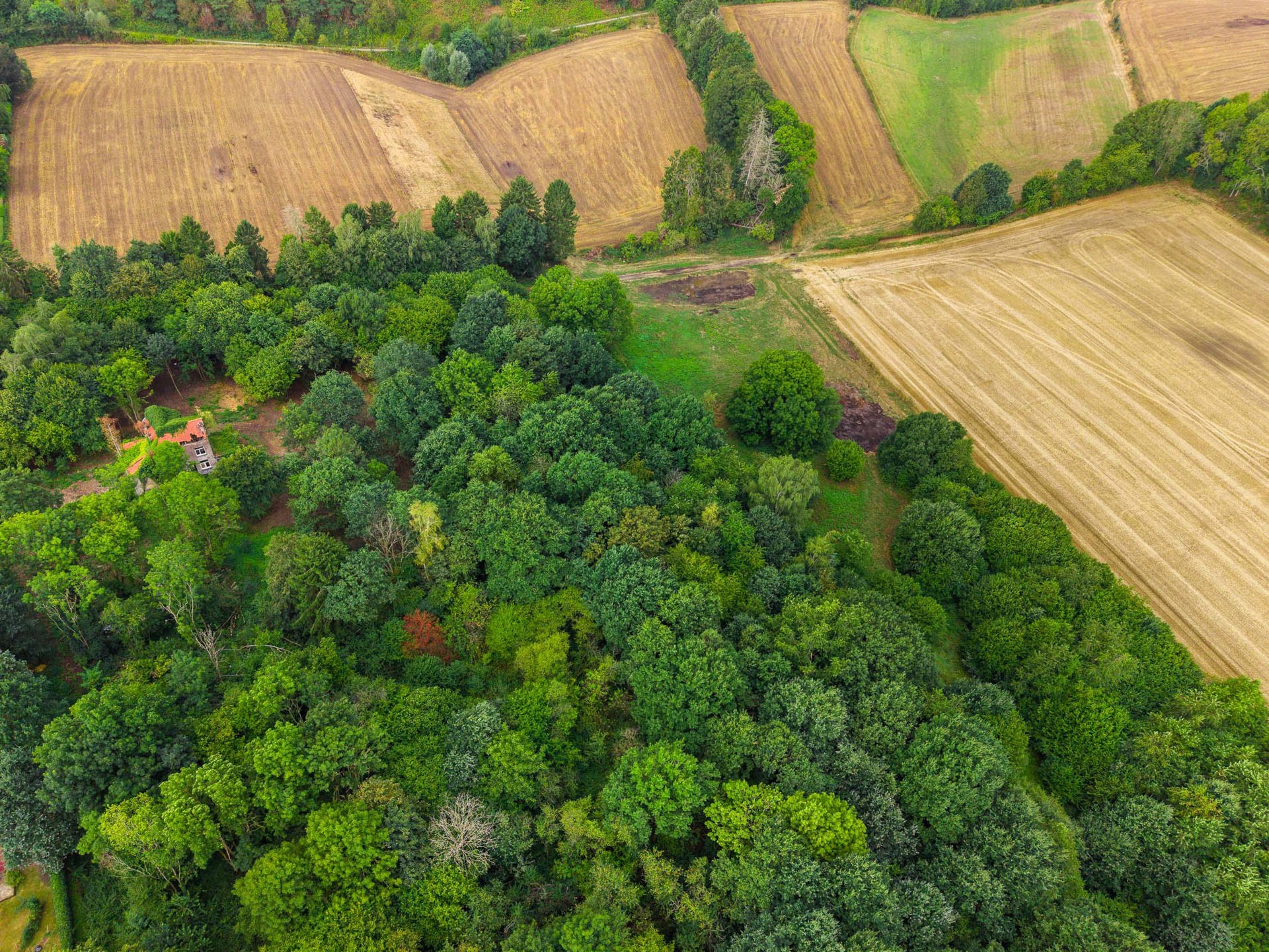  Brabant Wallon I La Hulpe - 物件實景