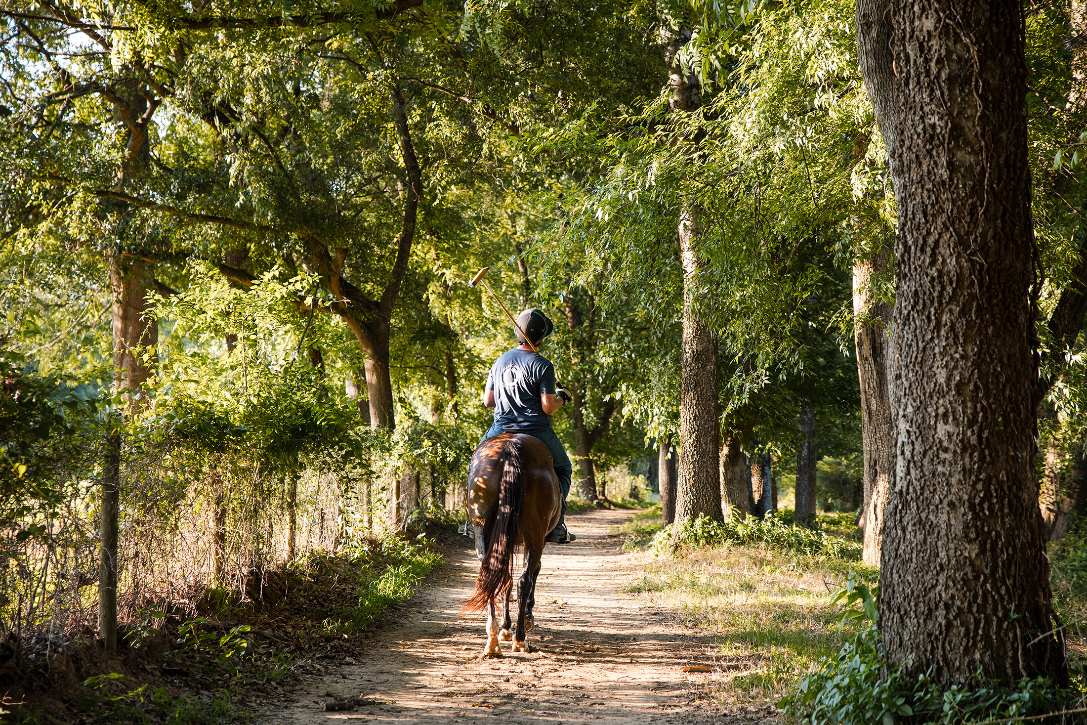  Rare Equestrian Facility with Prestigious Address - 物件實景