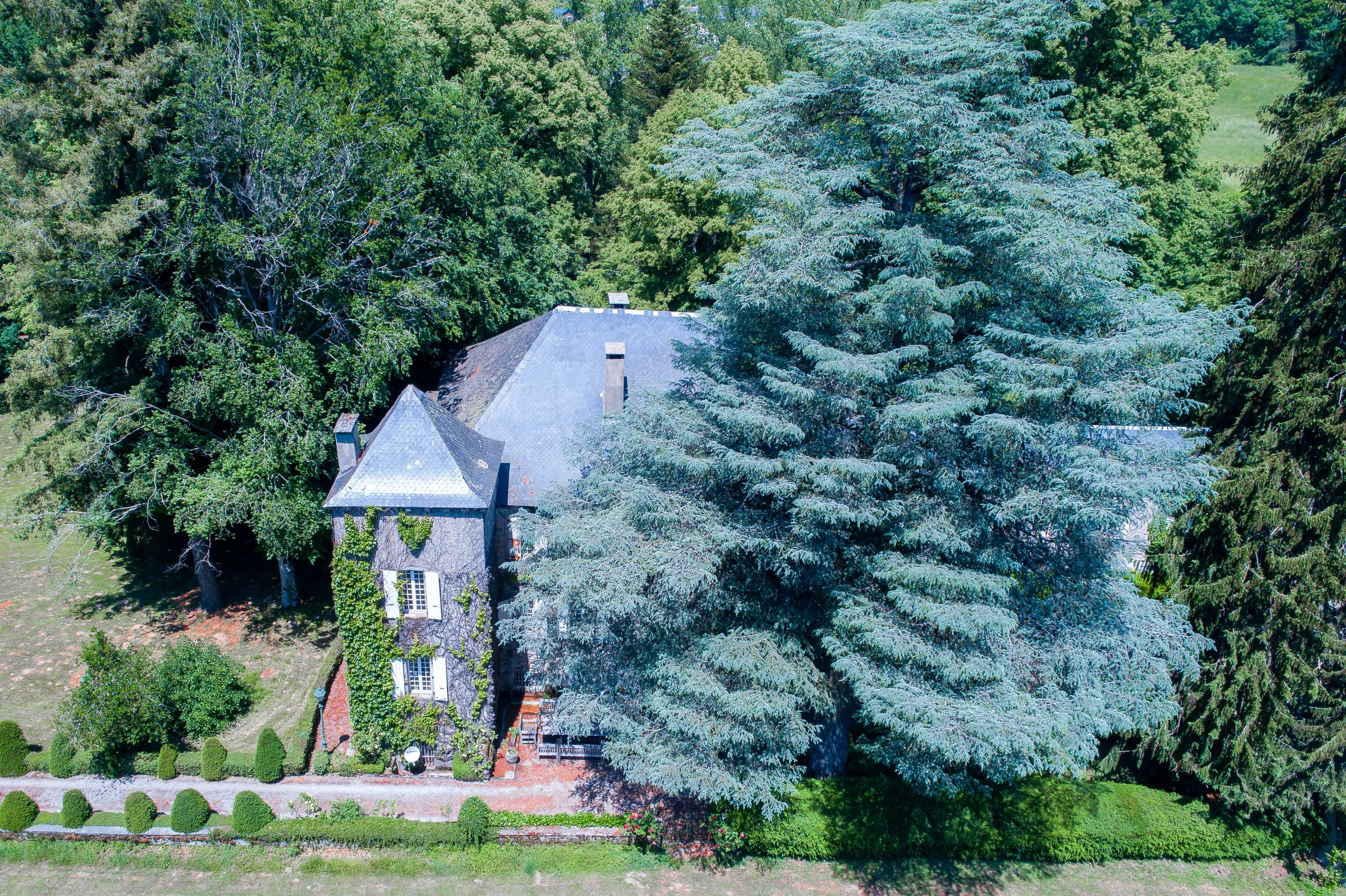  55 hectares, castel and 3 houses - 物件實景