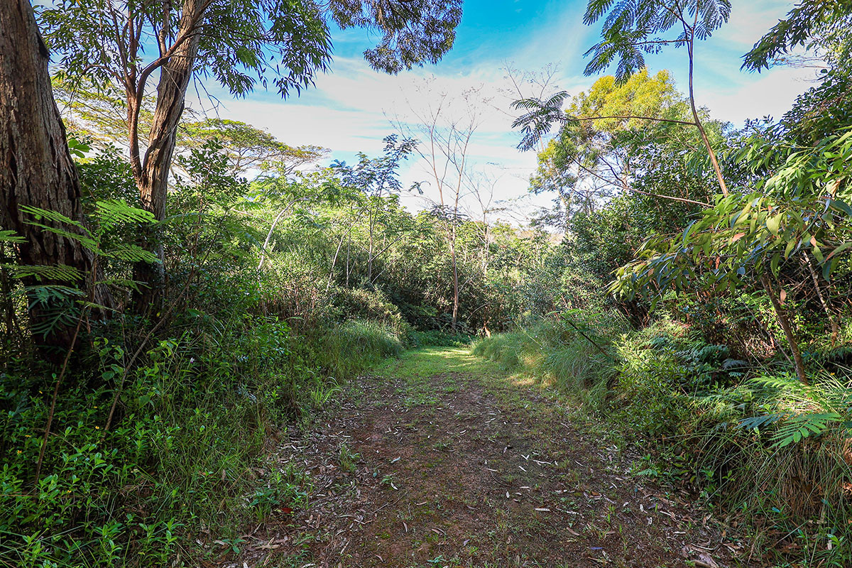 6828-B KUAMOO RD 2, Kapaa, Hawaii, 96746, United States, ,Land,For Sale,6828-B KUAMOO RD 2,1672725