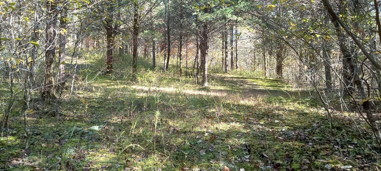 Willow Shade, Kentucky, 42166, United States, 3 Bedrooms Bedrooms, ,2 BathroomsBathrooms,Residential,For Sale,1991903