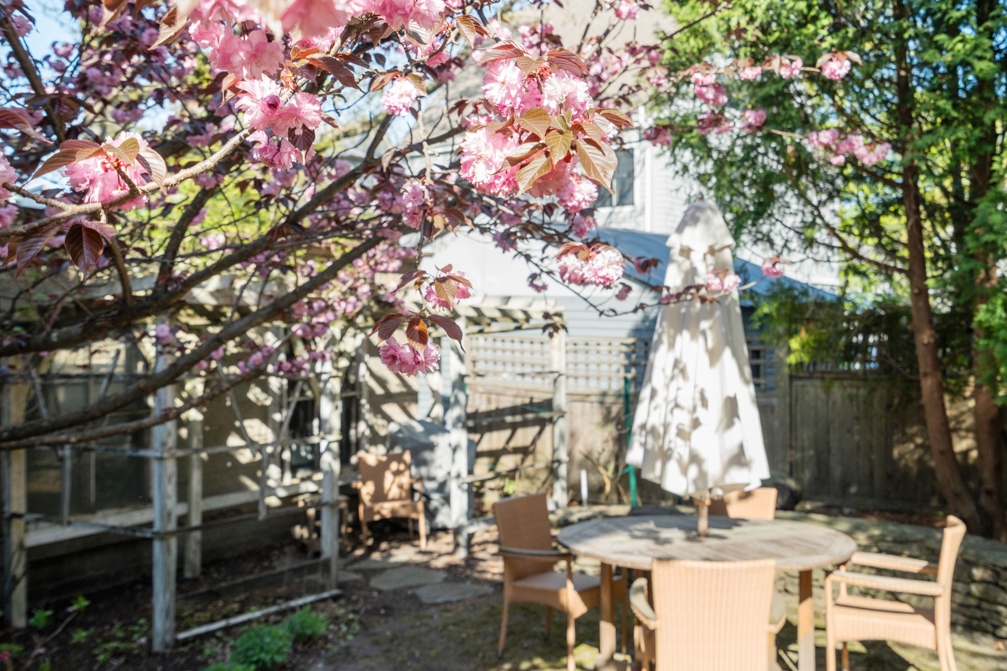  121 Thorndike Street, Brookline, MA, 02446 - 物件實景