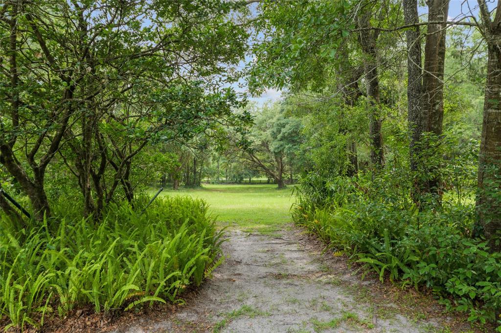 Newberry, Florida, 32669, United States, 3 Bedrooms Bedrooms, ,2 BathroomsBathrooms,Residential,For Sale,1847426