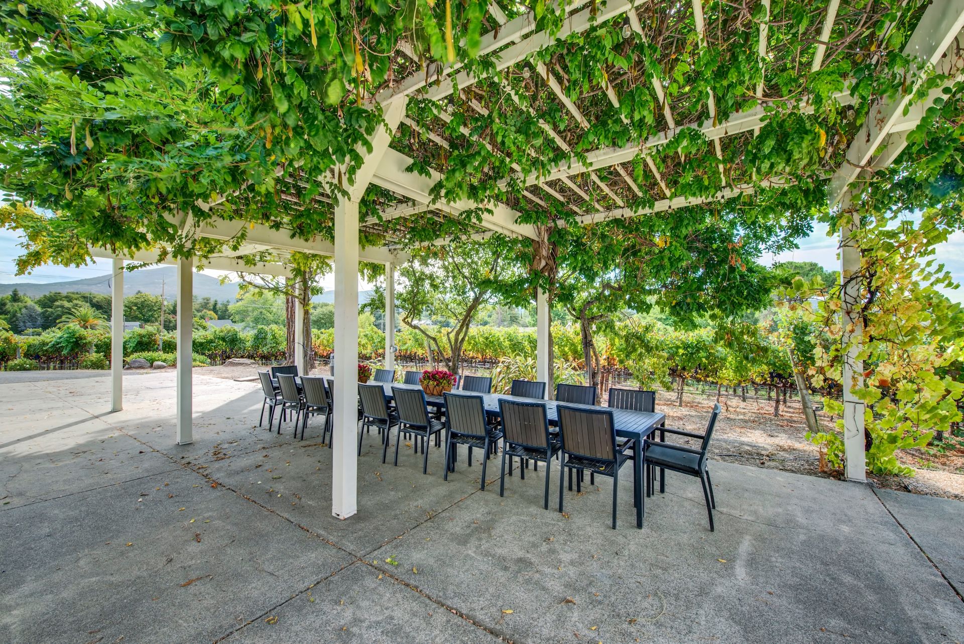  Classic Wine Country Setting - 物件實景