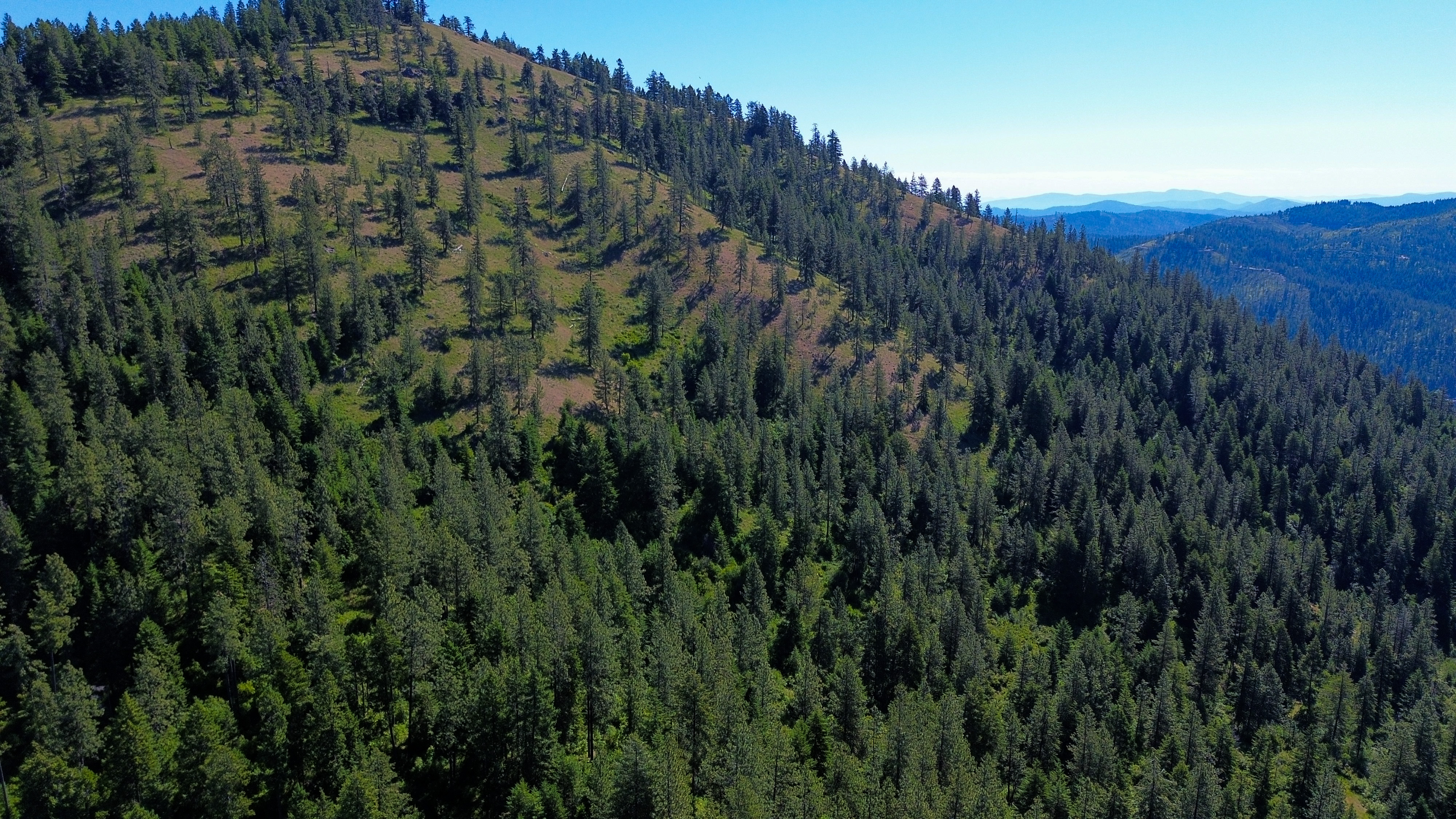 Loon Lake, Washington, 99148, United States, ,Residential,For Sale,1922836