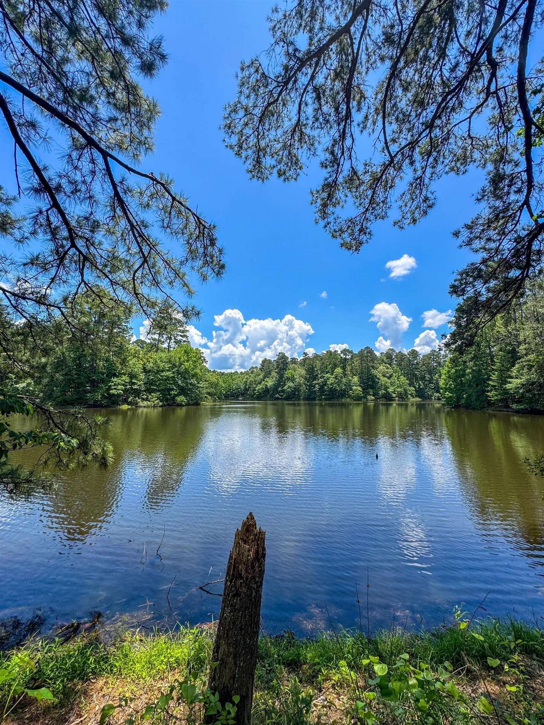 Douglassville, Texas, 75560, United States, ,Land,For Sale,2048006