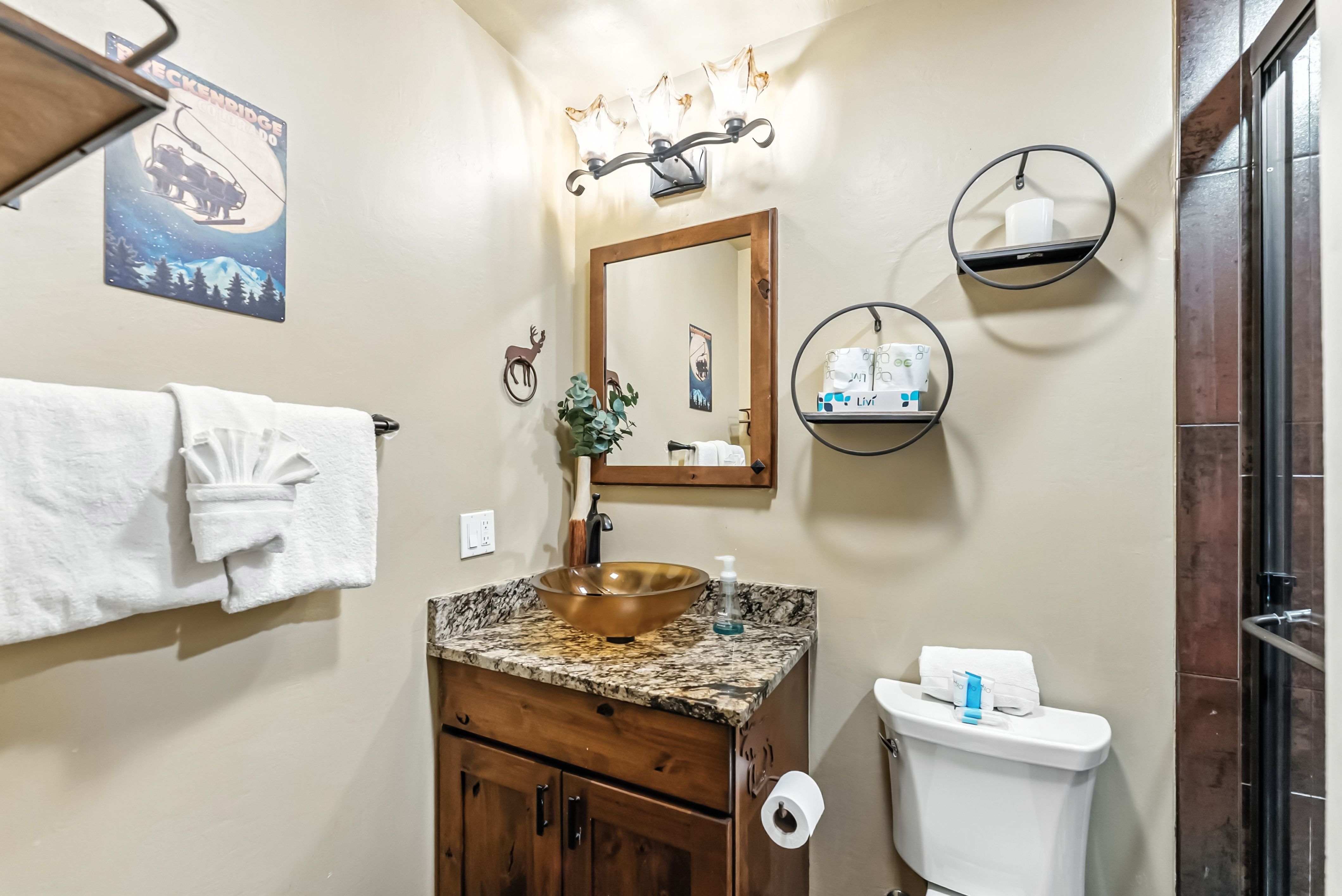  550 S French Street,Breckenridge, CO, 80424 - 物件實景