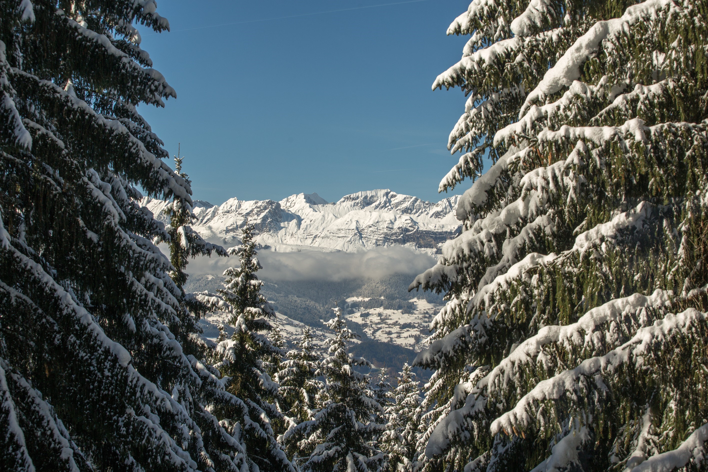  EXCLUSIVITY - CHALET DIANE & 2 GUEST HOUSES - 物件實景