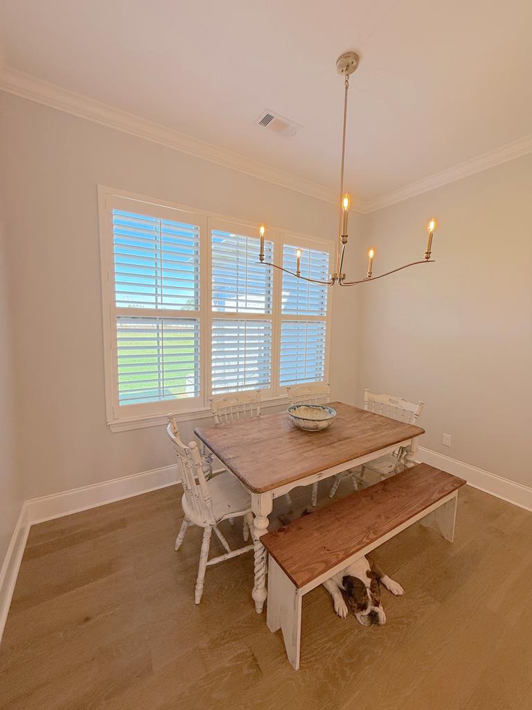 OXFORD, Mississippi, 38655, United States, 4 Bedrooms Bedrooms, ,4 BathroomsBathrooms,Residential,For Sale,1933642