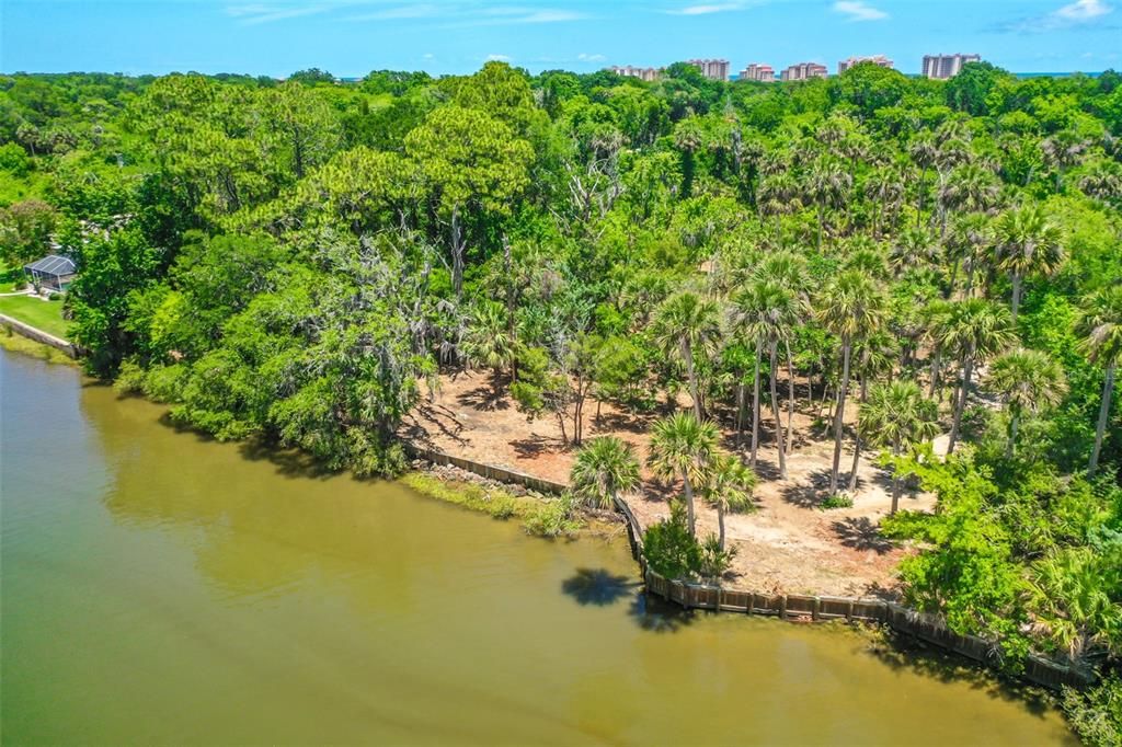 Palm Coast, Florida, 32137, United States, ,Land,For Sale,2000398