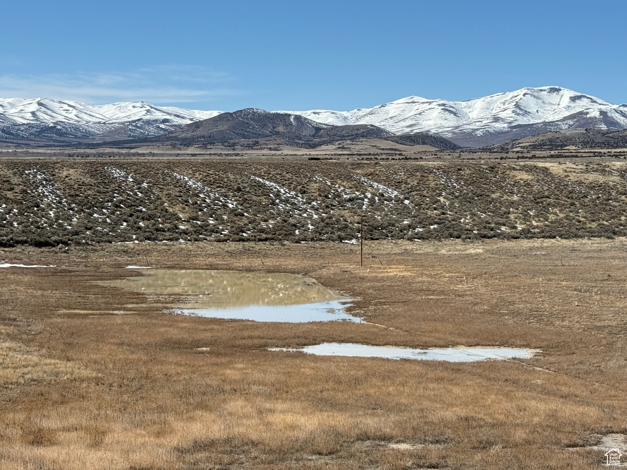 Park Valley, Utah, 84329, United States, ,Land,For Sale,1882391