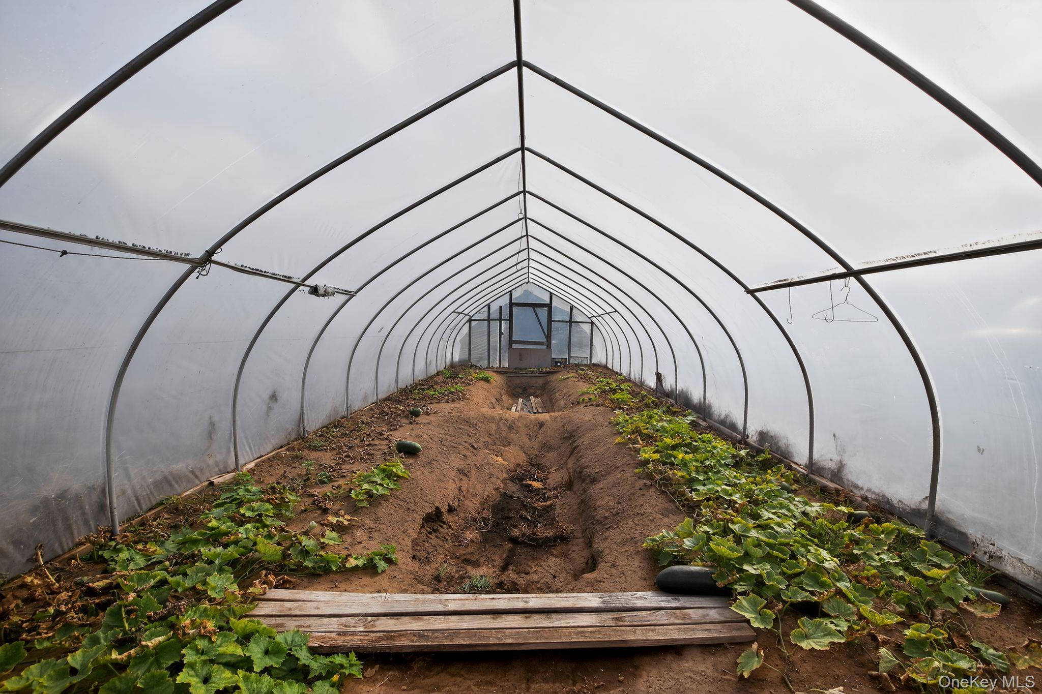 Pine Island, New York, 10969, United States, 3 Bedrooms Bedrooms, ,2 BathroomsBathrooms,Residential,For Sale,1988857