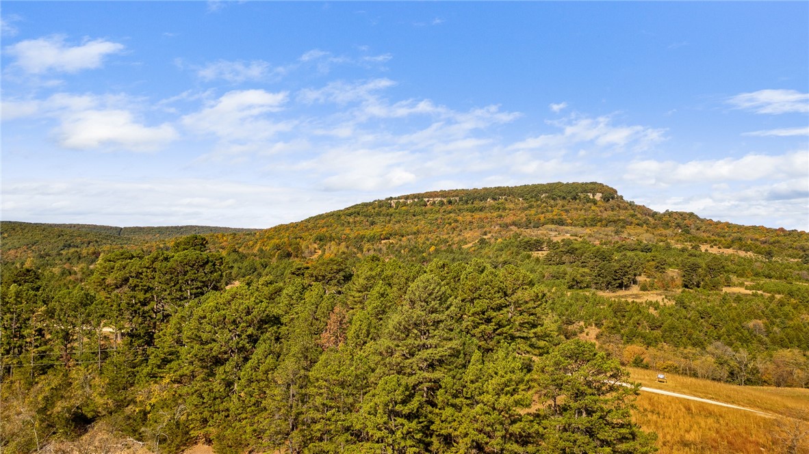 Harrison, Arkansas, 72601, United States, ,Land,For Sale,1903460