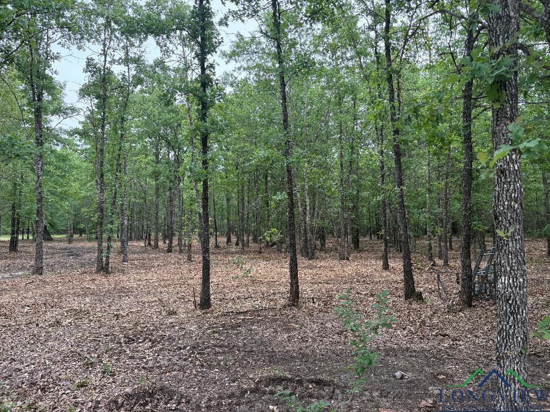 Bogata, Texas, 75417, United States, 1 Bedroom Bedrooms, ,1 BathroomBathrooms,Residential,For Sale,1712686