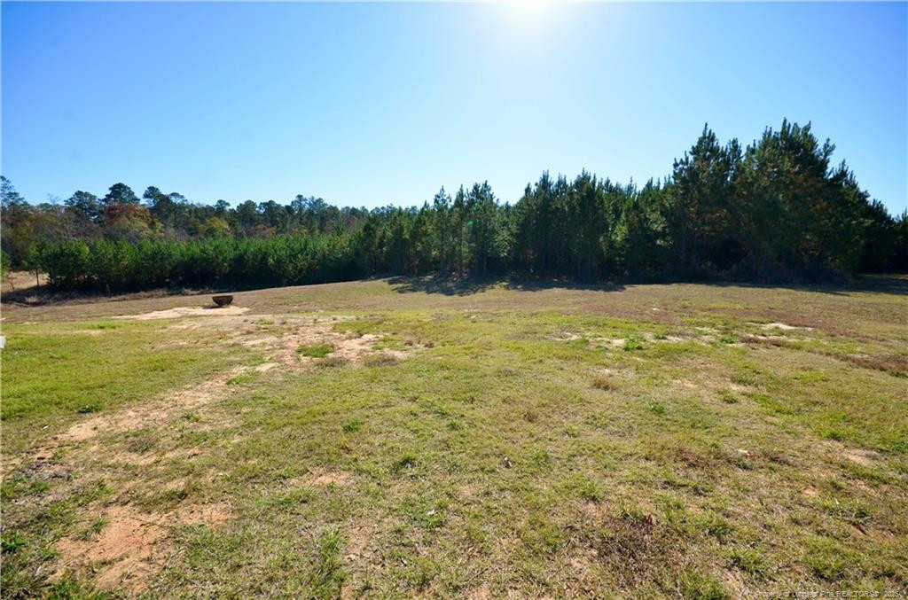 Spring Hope, North Carolina, 28390, United States, 5 Bedrooms Bedrooms, ,4 BathroomsBathrooms,Residential,For Sale,1993285