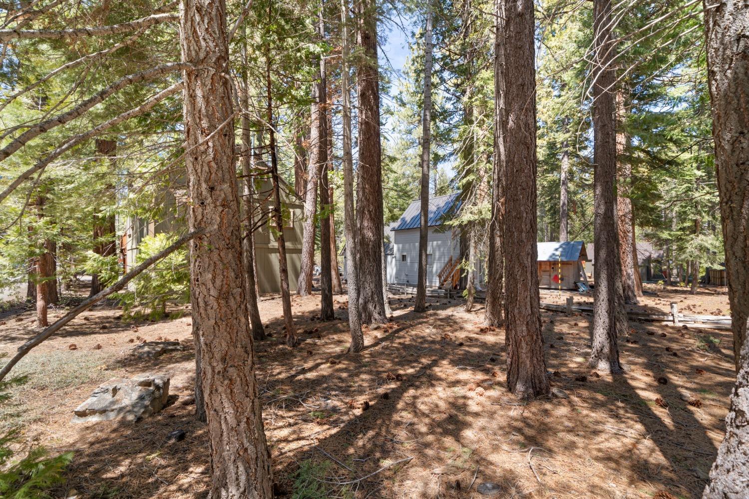 Tahoma, California, 96142, United States, 3 Bedrooms Bedrooms, ,1 BathroomBathrooms,Residential,For Sale,1794166