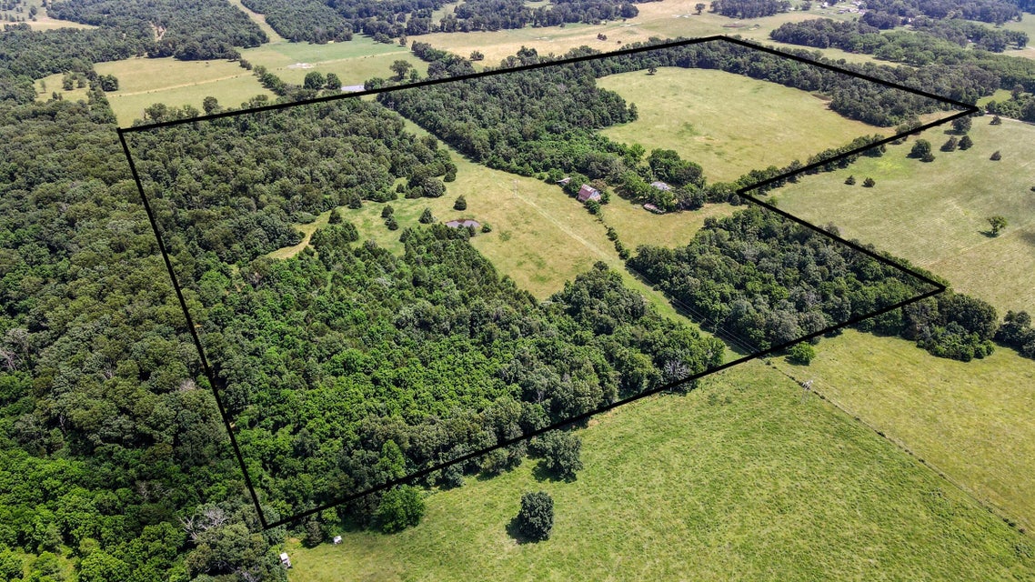 Peace Valley, Missouri, 65788, United States, 5 Bedrooms Bedrooms, ,1 BathroomBathrooms,Residential,For Sale,1980940