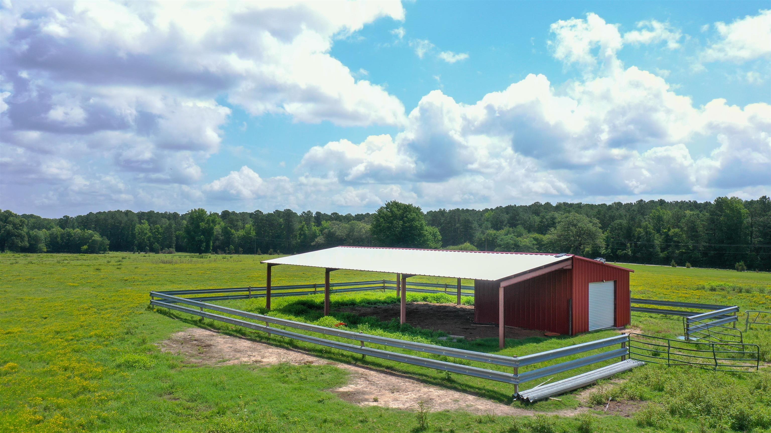 Linden, Texas, 75563, United States, ,Land,For Sale,1975448