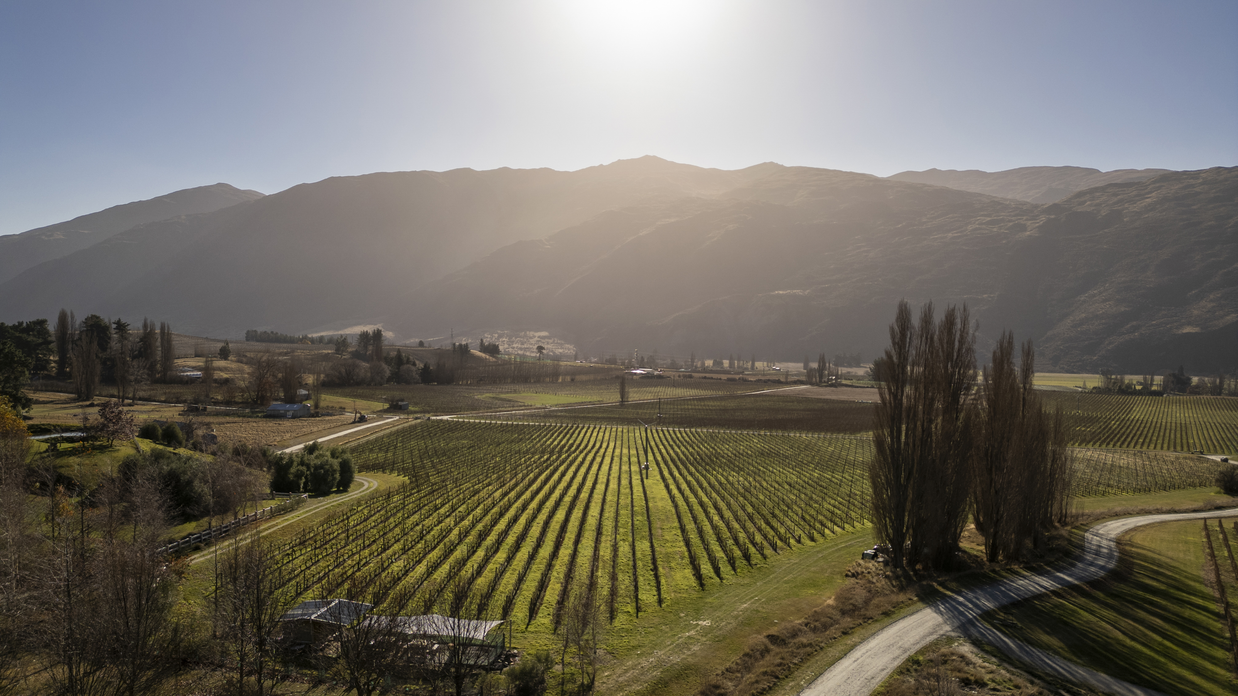  Award Winning Vineyard - 物件實景