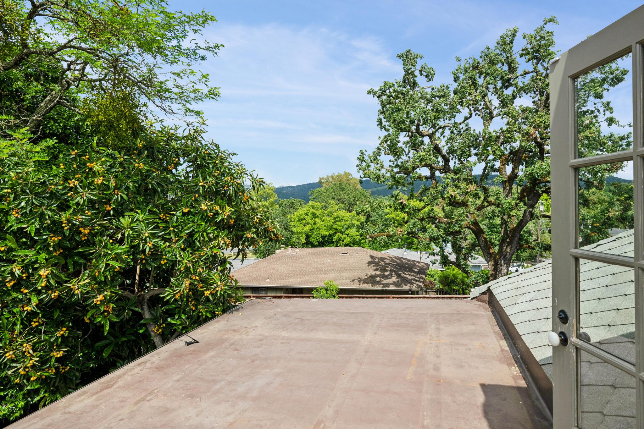  350 Linden Street - 物件實景