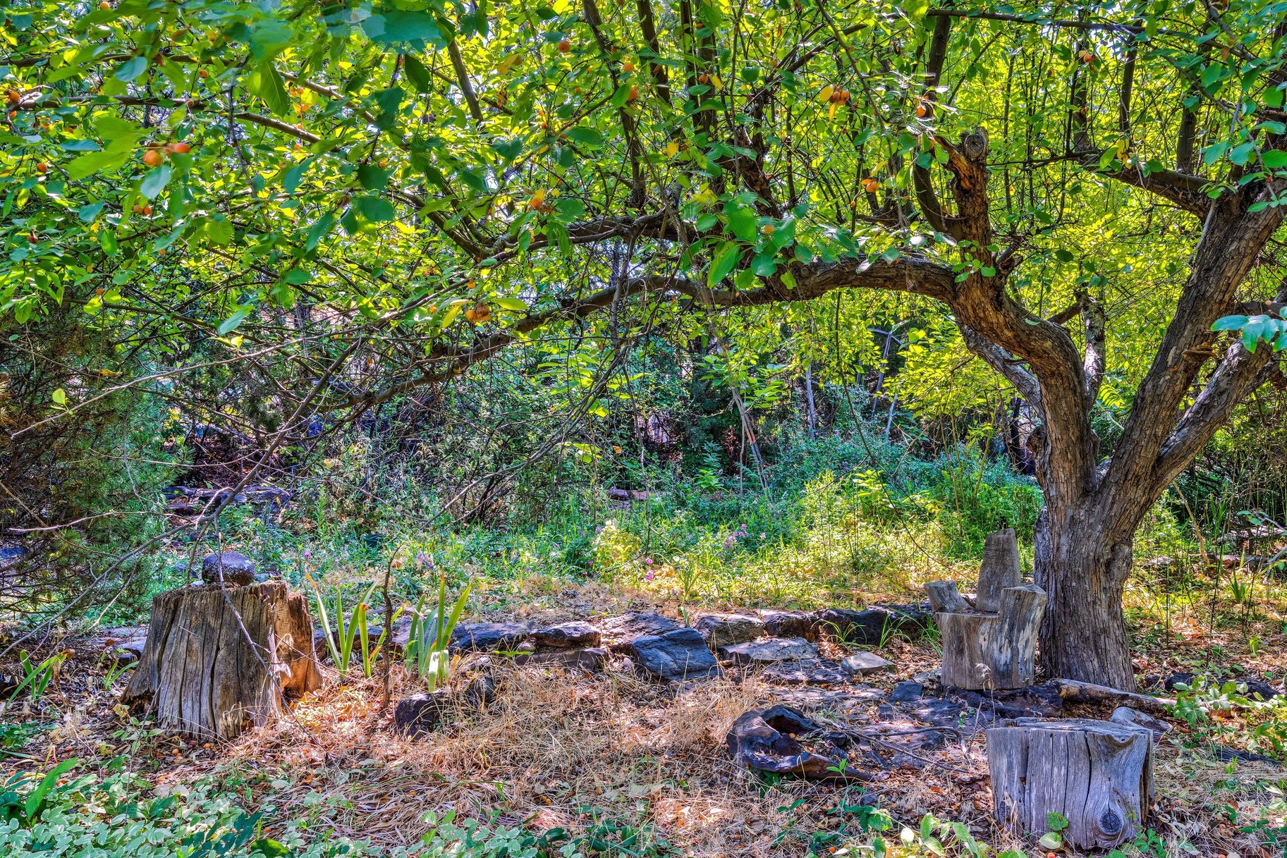  Great Location, Private Backyard & Plenty of Potential - 物件實景