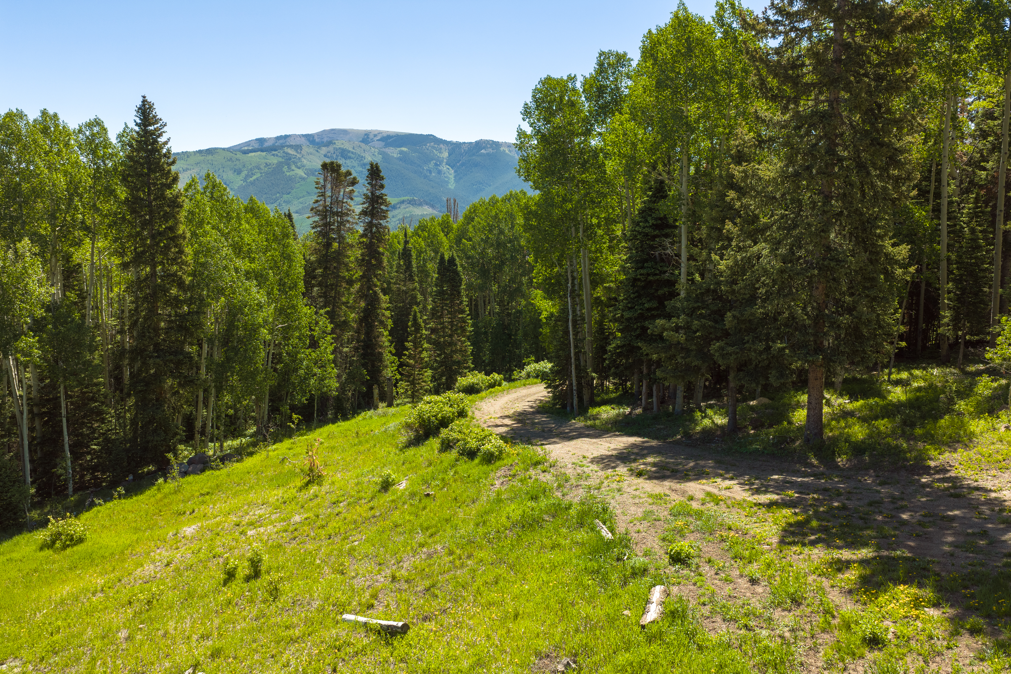  141 White Buffalo Trail, Crested Butte, CO, 81224 - 物件實景