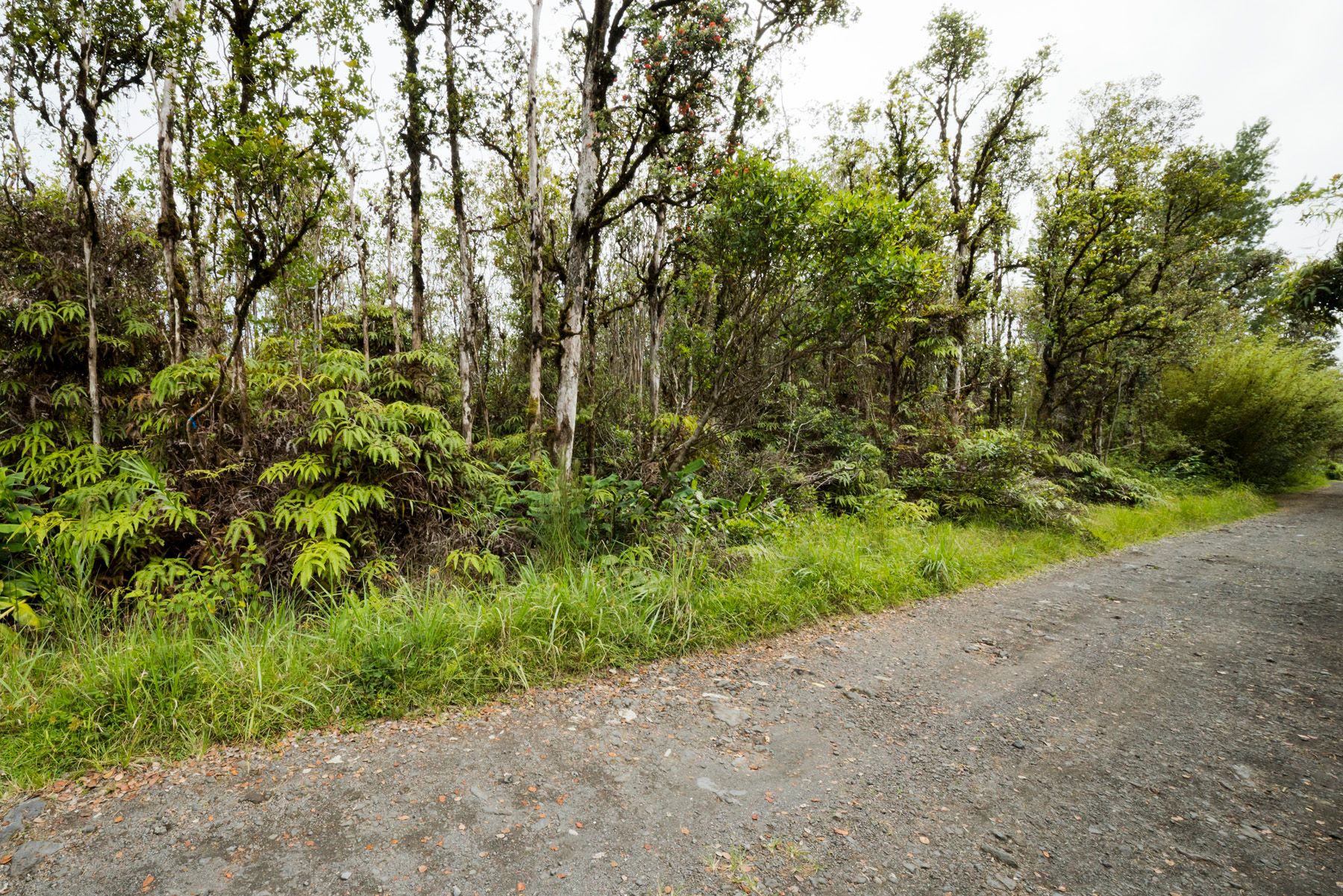  11-1766 Pilo St, Mountain View, HI, 96771 - 物件實景