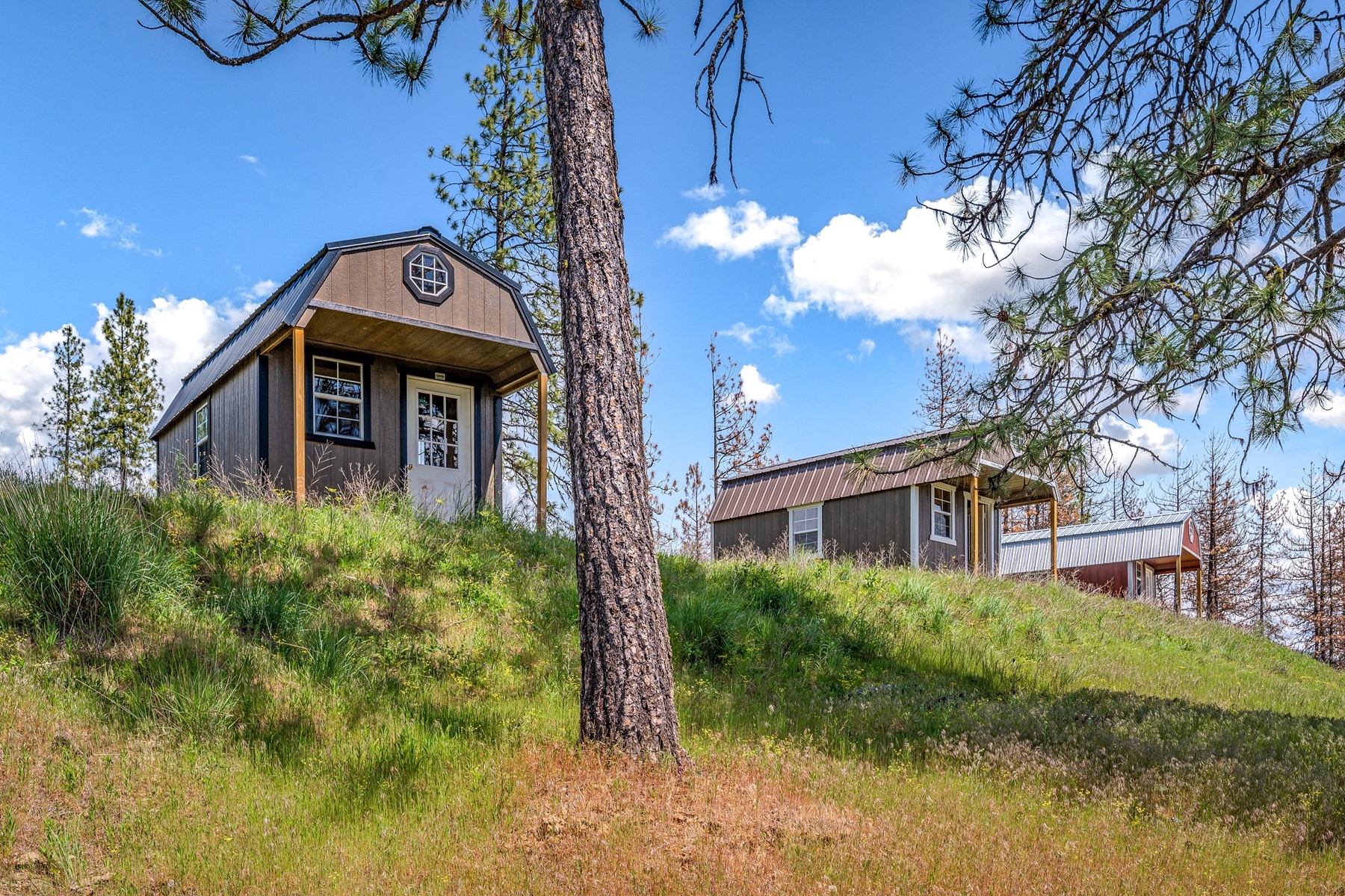  Cabins on 17ac. Surrounded by Lumber Land - 物件實景