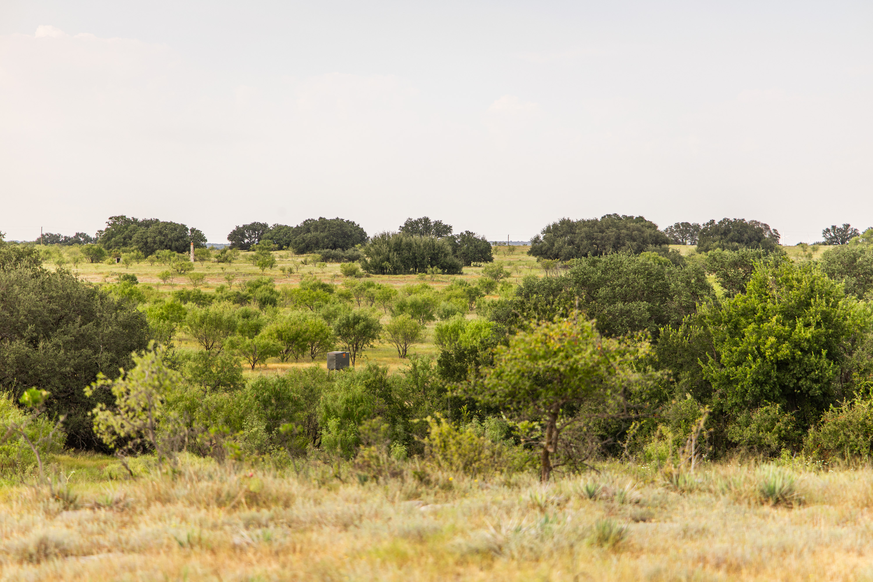  Mullin Game Ranch - 物件實景