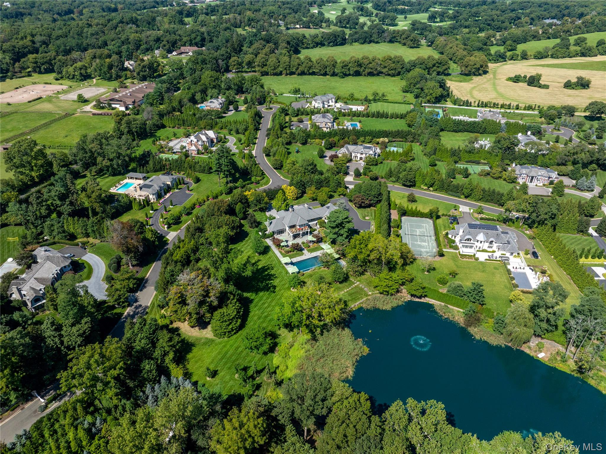  1 Hidden Pond Drive, Old Westbury, NY, 11568 - 物件實景