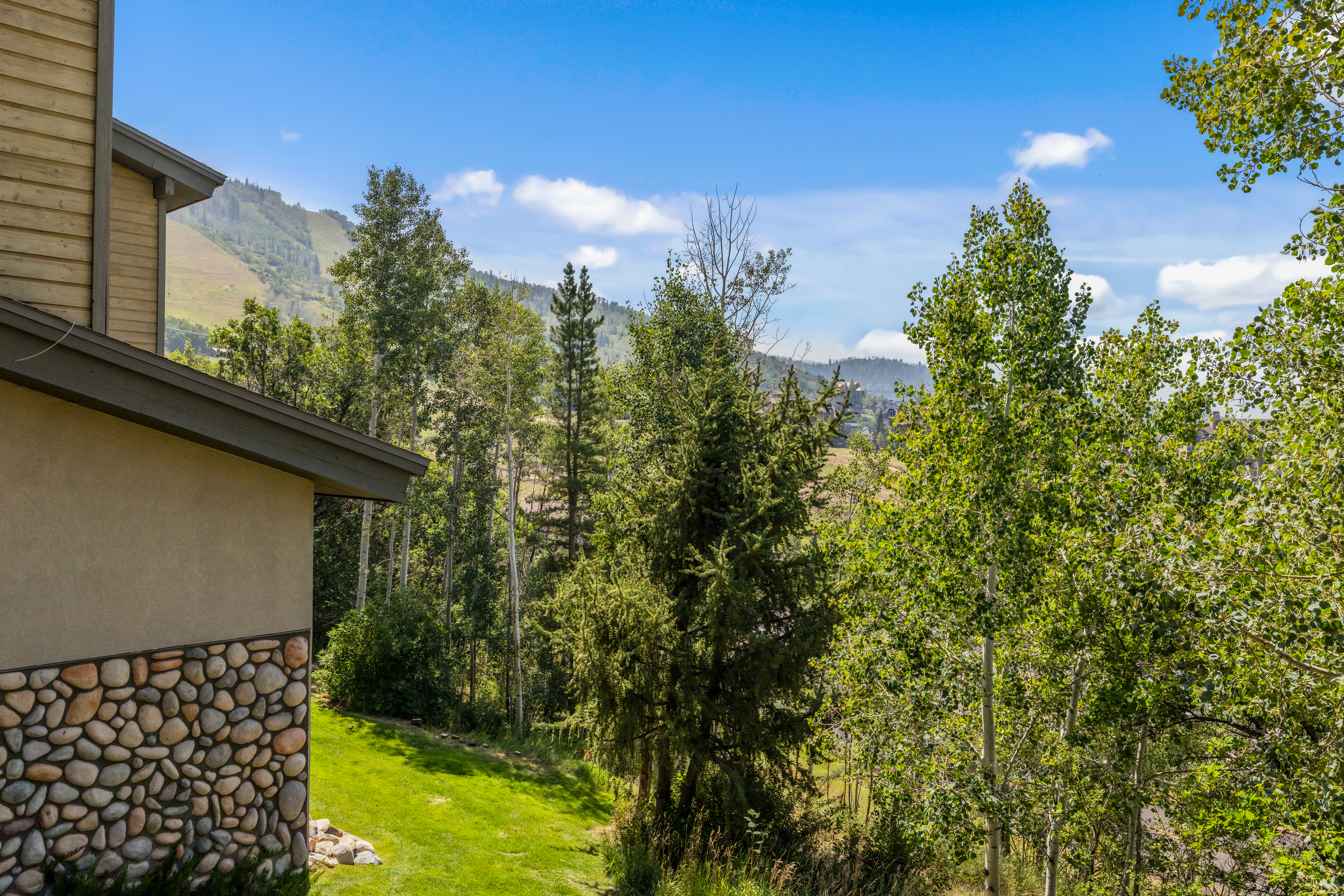 2290 Storm Meadows Drive, Steamboat Springs, CO, 80487 - 物件實景