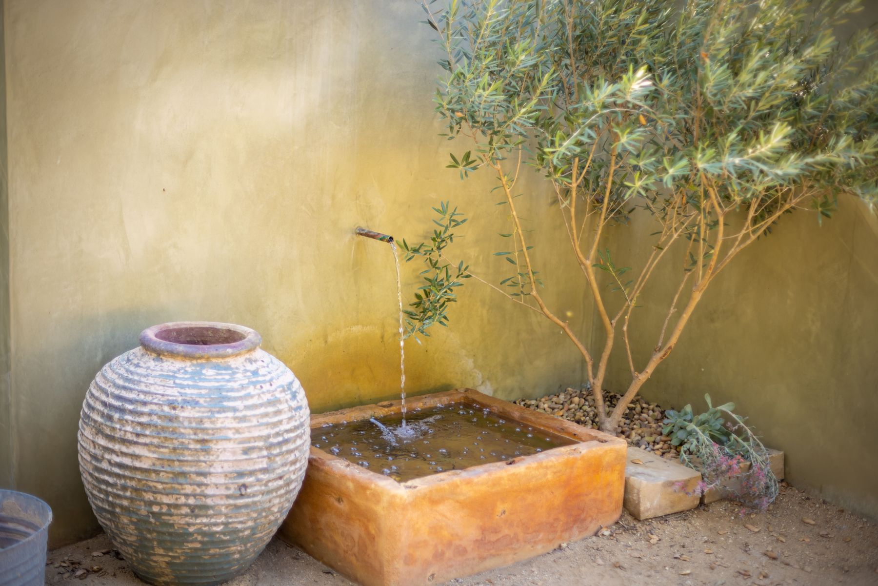  5 Acres Estate Adjacent to the Ojai Valley Inn & Spa  Rustic Bohemian Compound - 物件實景