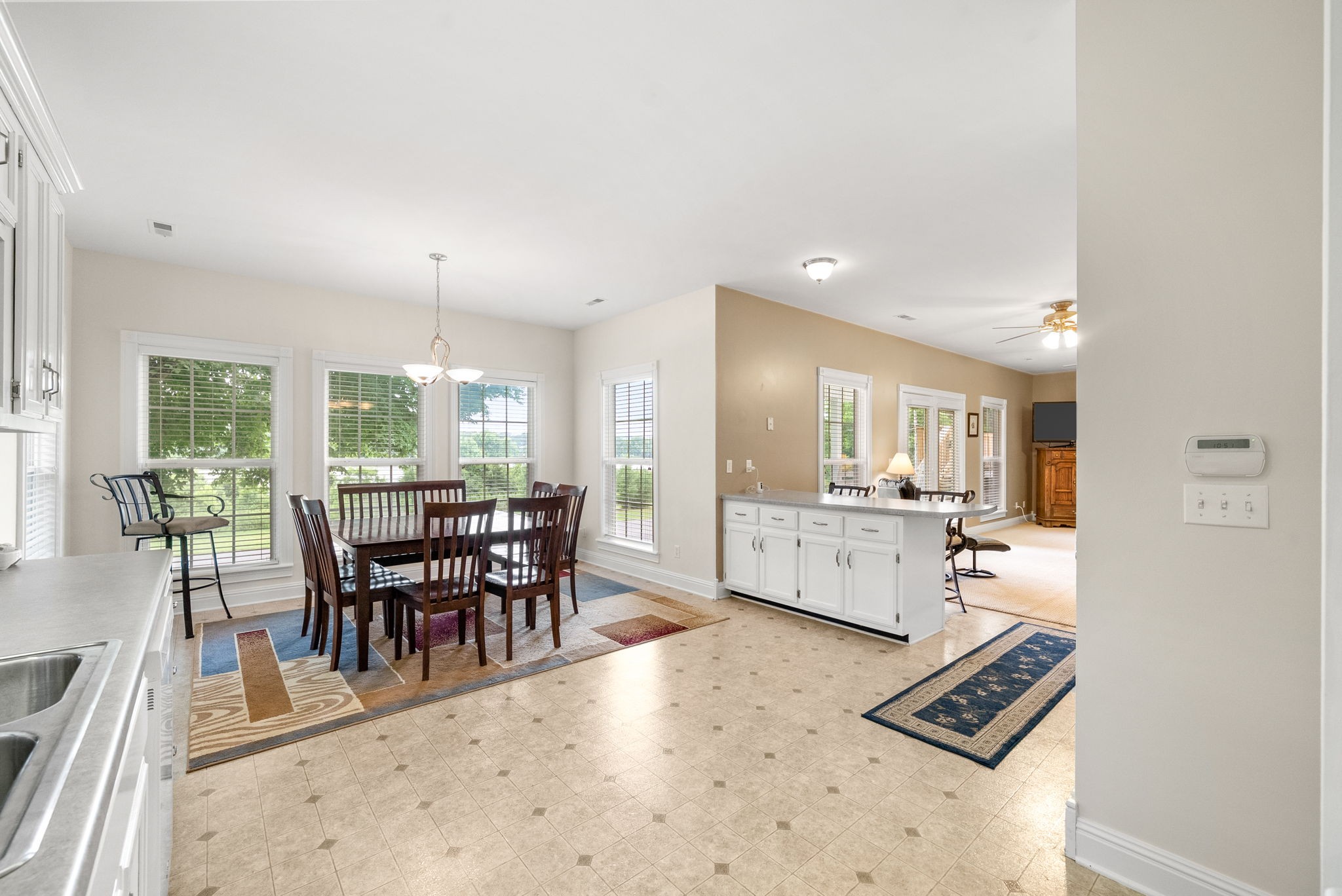  196 Wildlife Road, Dover, TN, 37058 - 物件實景