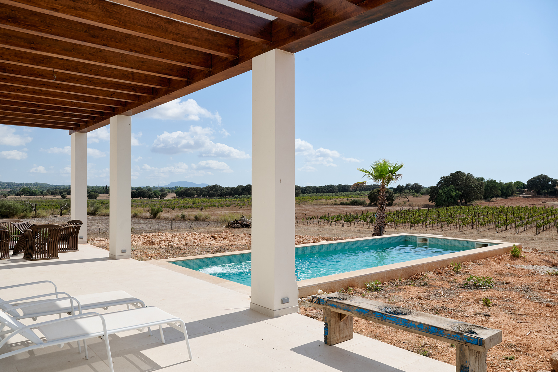  Contemporary estate with guest apartment and vineyard in Inca - 物件實景