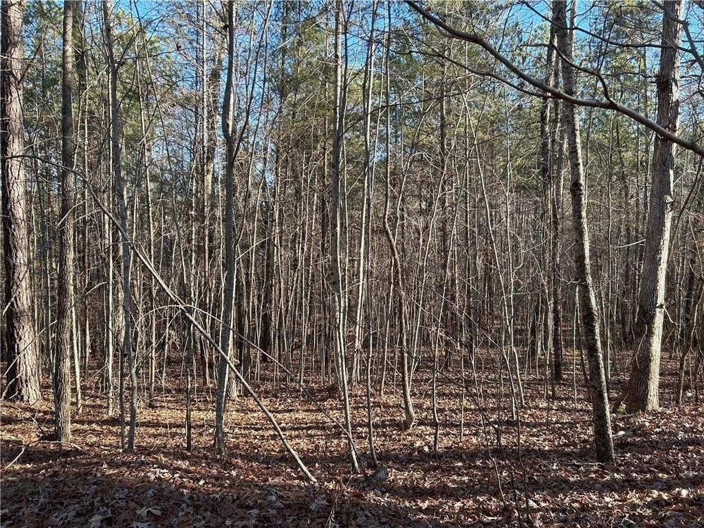 Dawsonville, Georgia, 30148, United States, ,Land,For Sale,1978894