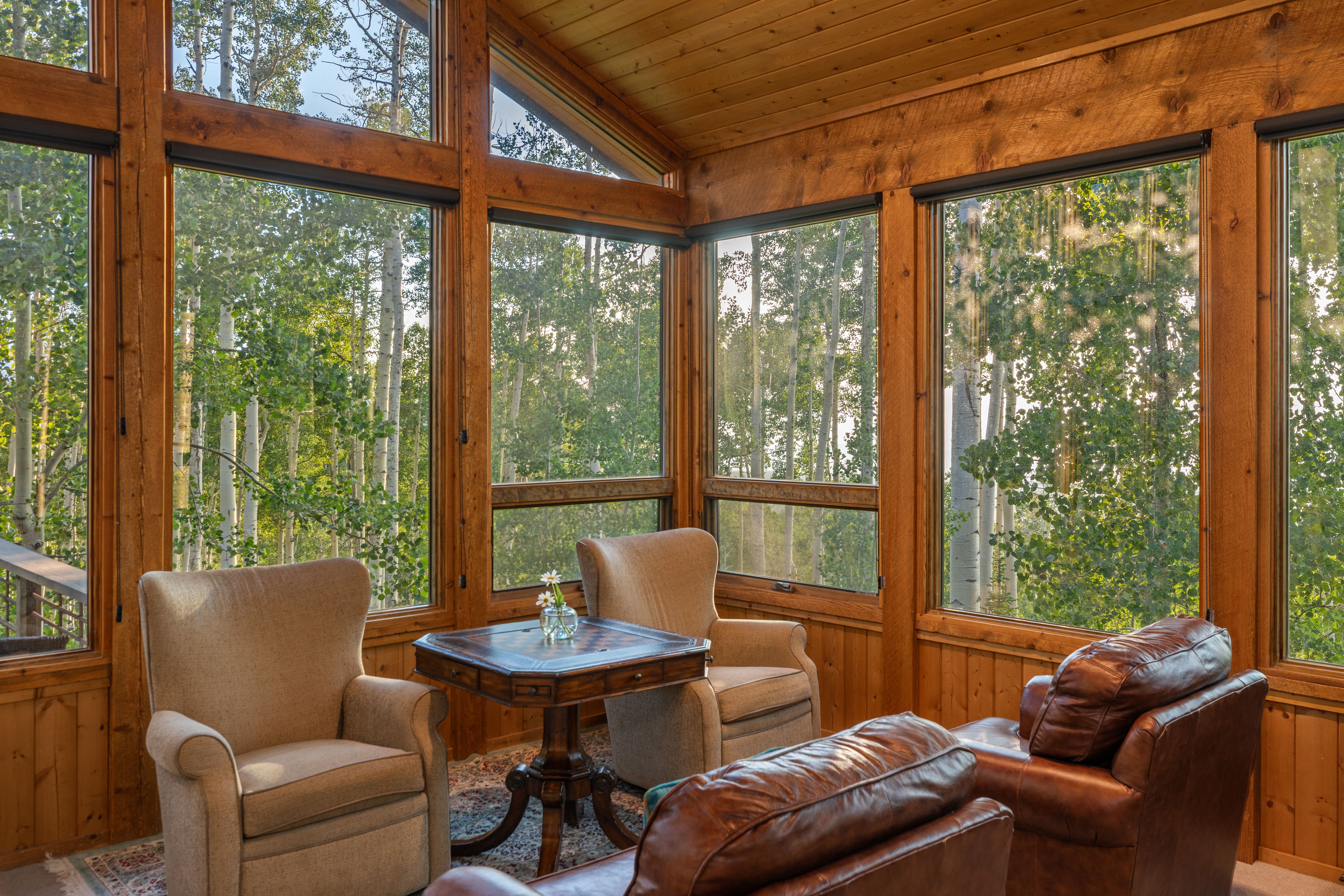  Mountain Escape Minutes from Telluride Ski Resort - 物件實景