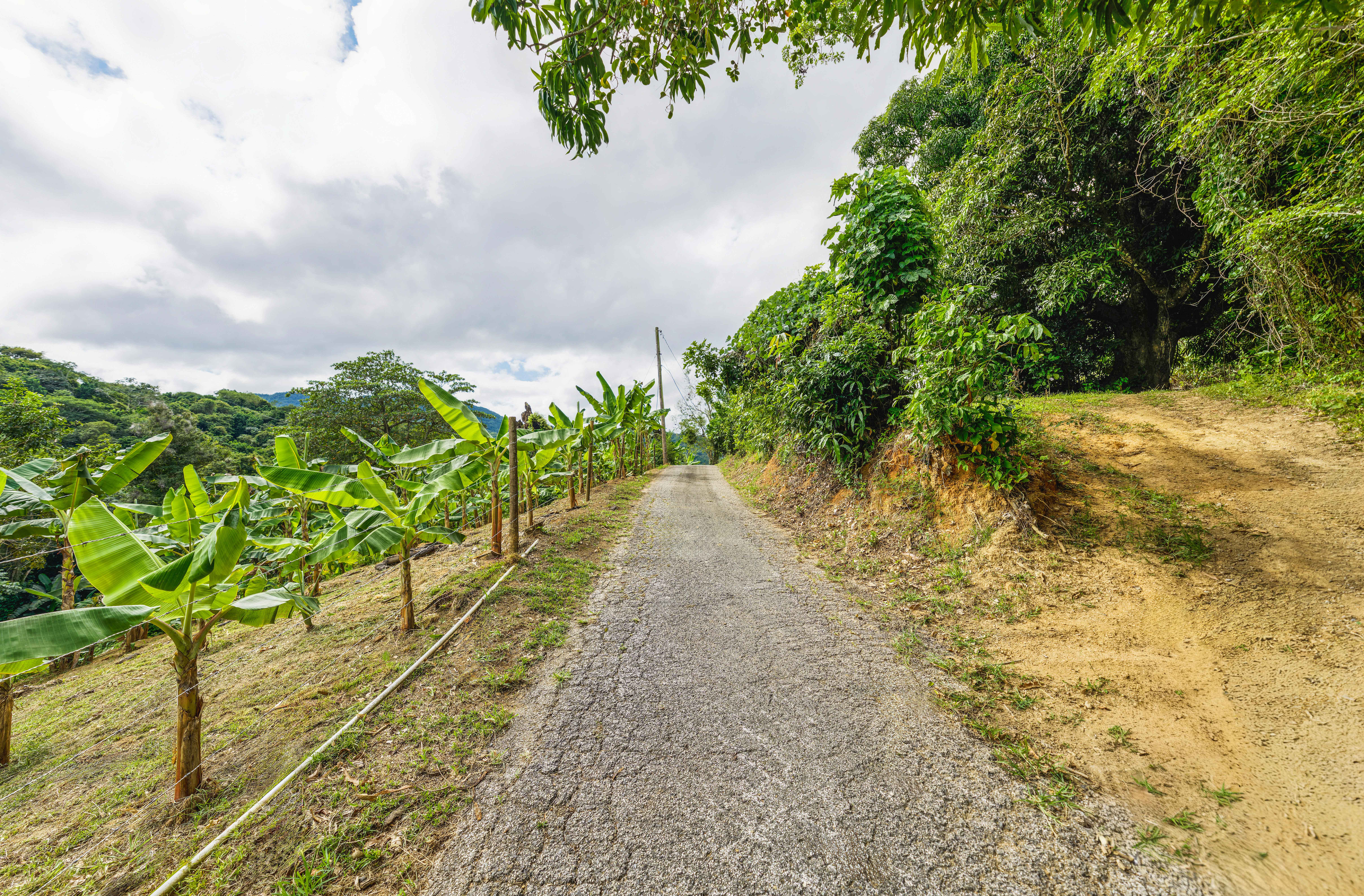  Exceptional Mountainside Acreage - 物件實景