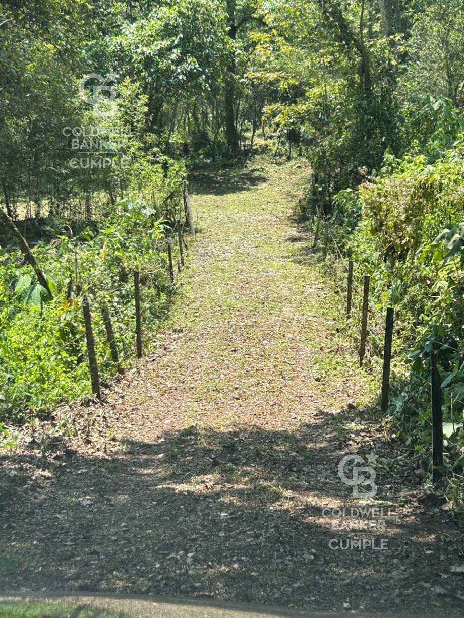 Tlalnelhuayocan, Veracruz de Ignacio de la Llave, 91230, Mexico, 1 Bedroom Bedrooms, ,Residential,For Sale,1829340