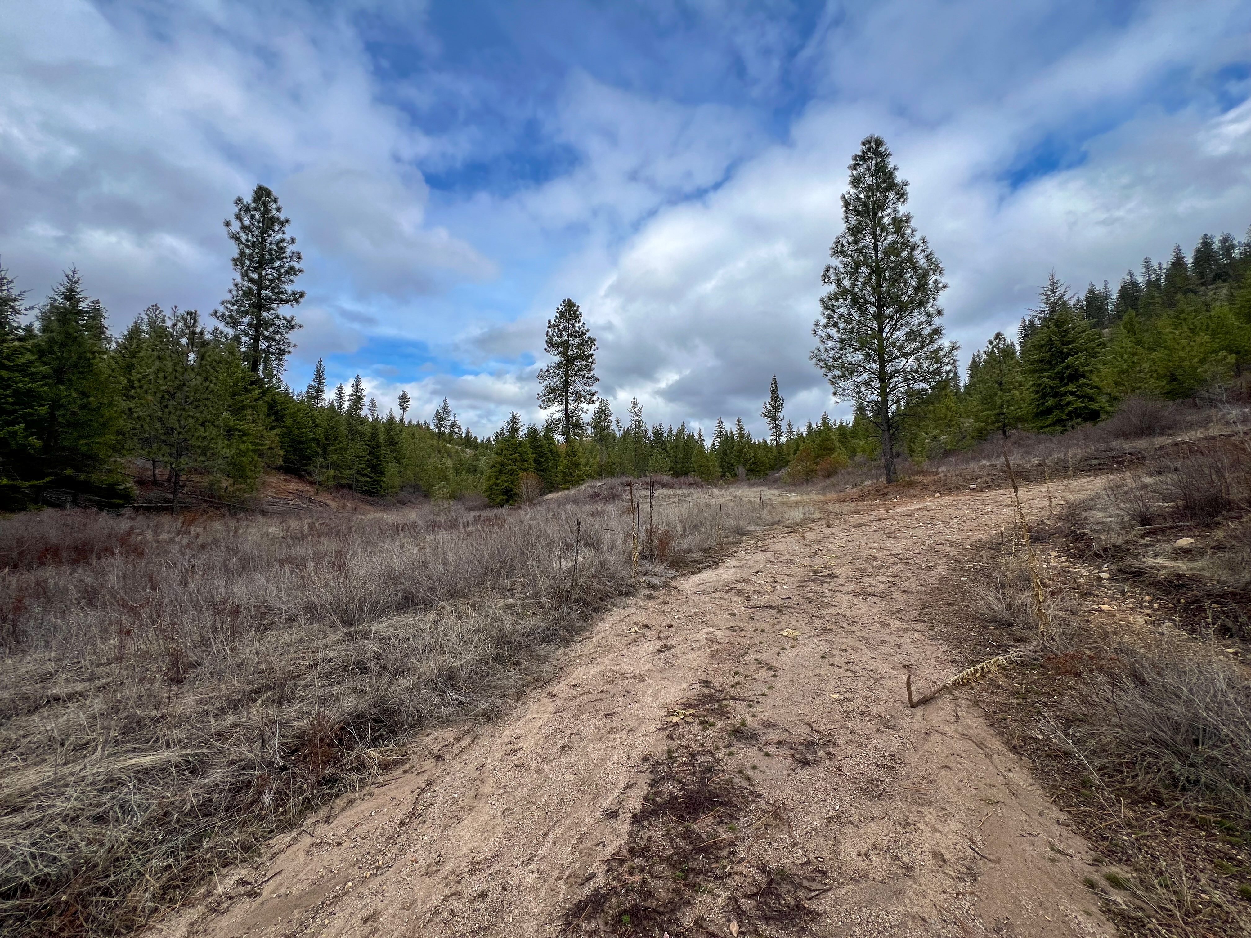 Valley, Washington, 99181, United States, ,Land,For Sale,1979391